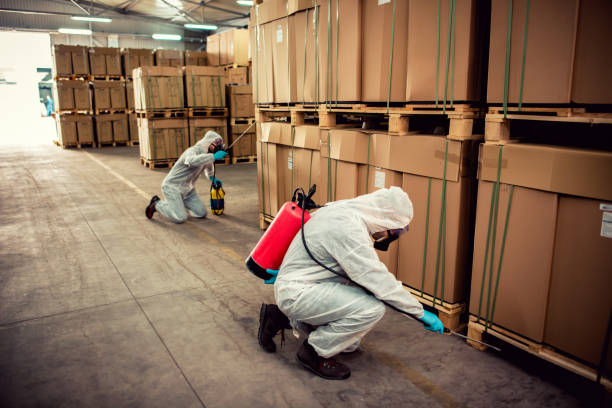 Best Local Pest Control Services  in Oak Lawn, IL