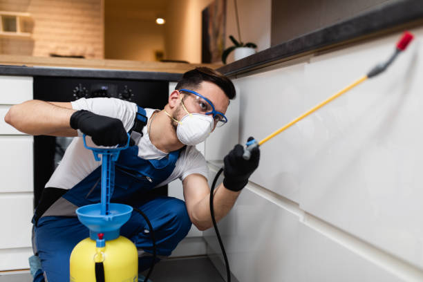 Best Pest Removal Services  in Oak Lawn, IL