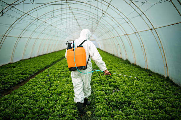 Reliable Oak Lawn, IL Pest Control Solutions