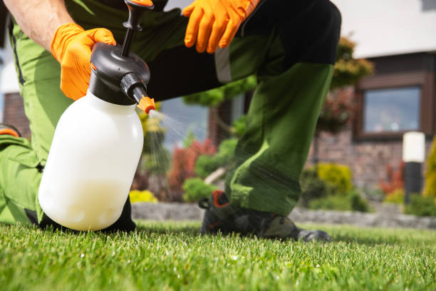 Best Affordable Pest Control Services  in Oak Lawn, IL