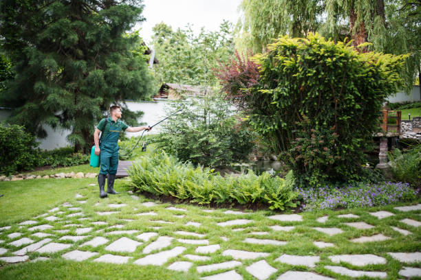 Best Affordable Pest Control Services  in Oak Lawn, IL