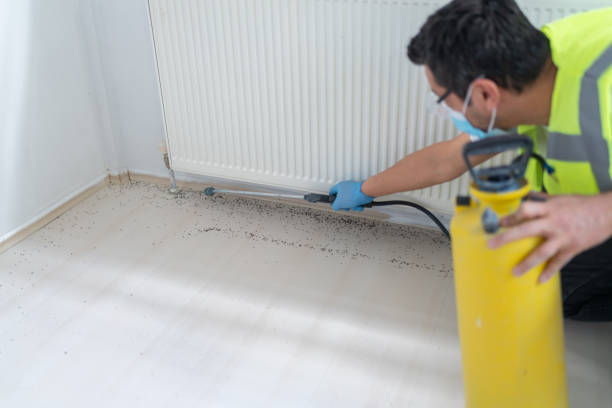 Best Bed Bug Extermination  in Oak Lawn, IL